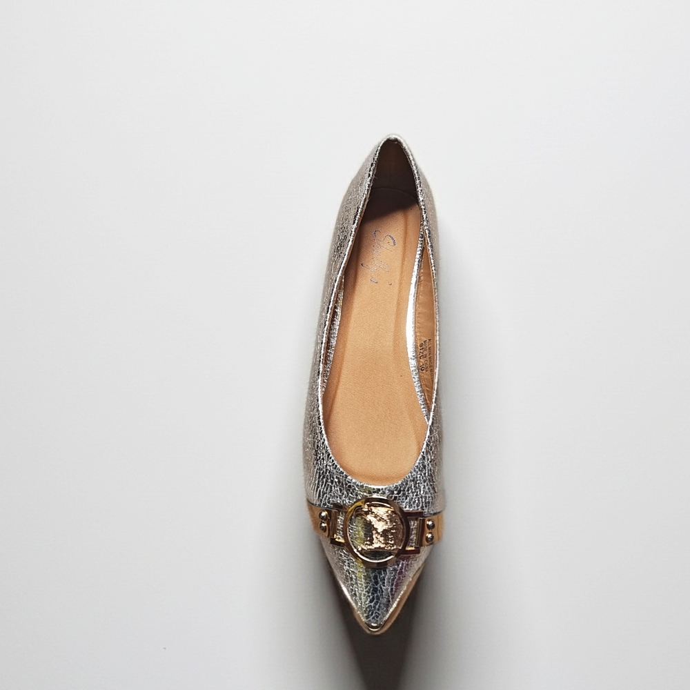 Shully's Metallic Silver Pointed Loafers